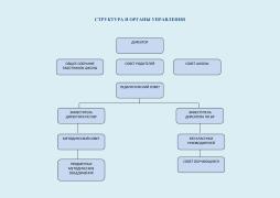 ОПИСАНИЕ СТРУКТУРЫ И ОРГАНОВ УПРАВЛЕНИЯ